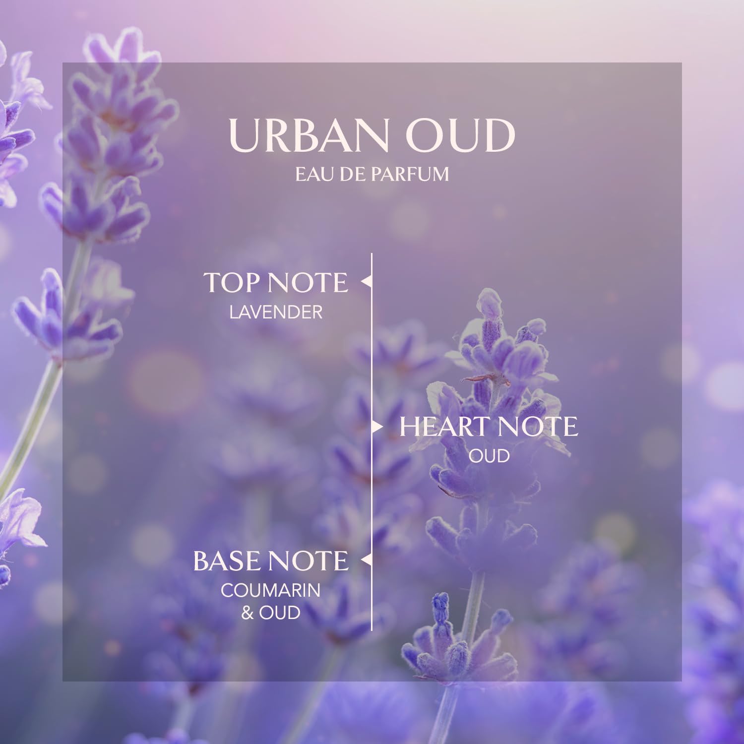 Embarouge Urban Oud | Unisex Wood-Top Oriental EDP Perfume 100 ml