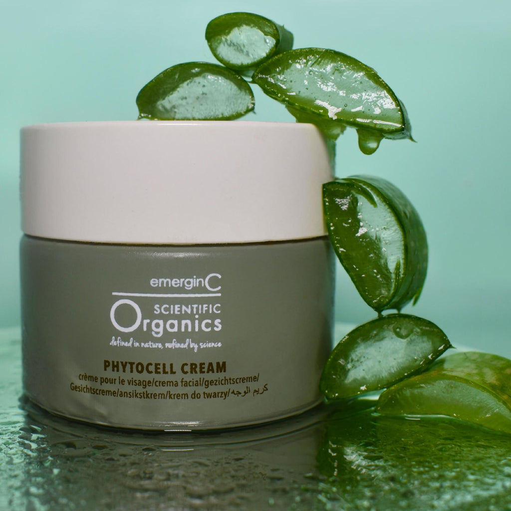 emerginC Scientific Organics Phytocell Anti-Aging Cream – Hydrating Plant Stem Cell Facial Moisturizer (50 ml)