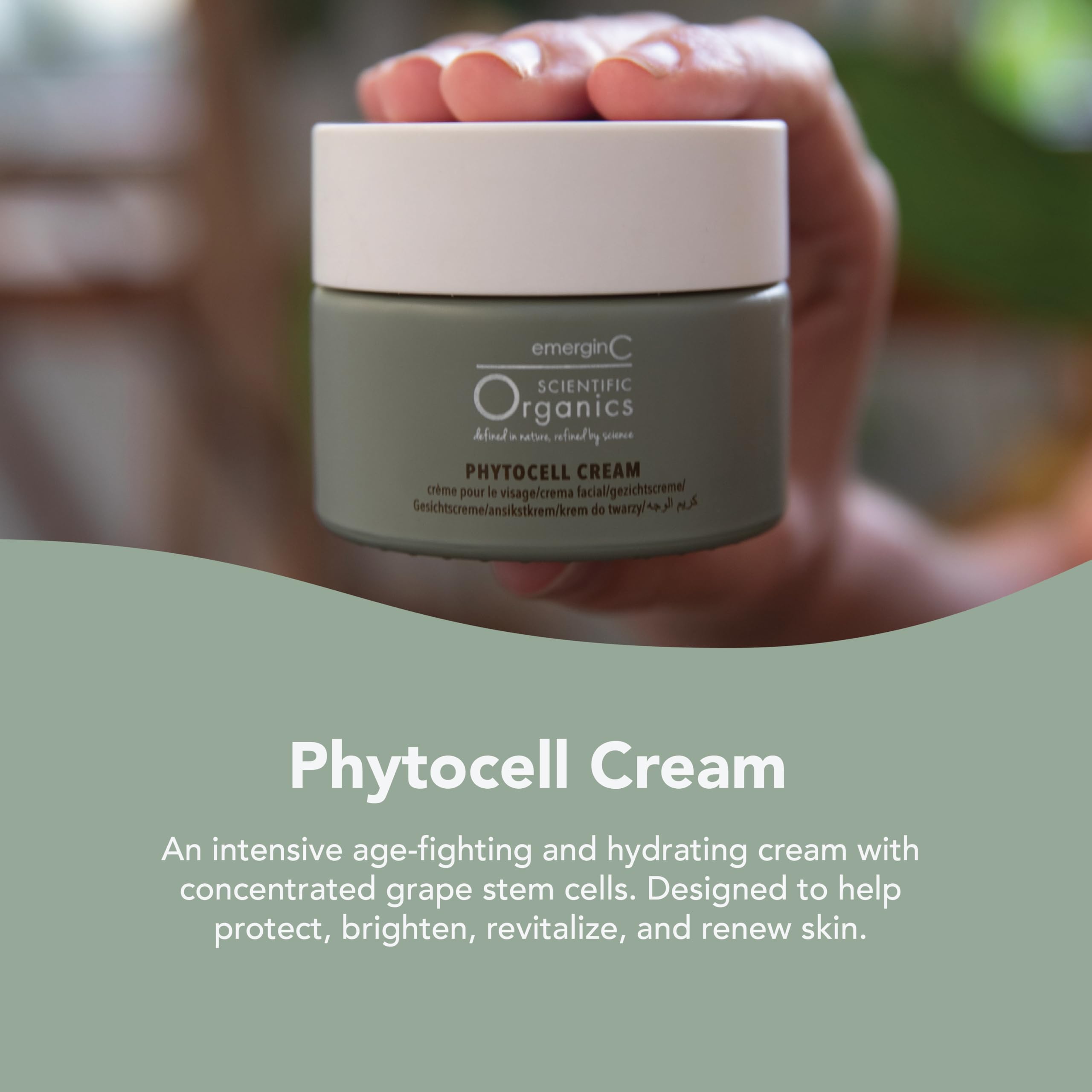 emerginC Scientific Organics Phytocell Anti-Aging Cream – Hydrating Plant Stem Cell Facial Moisturizer (50 ml)