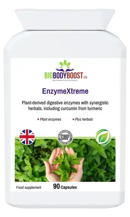 EnzymeXtreme Plant Digestive Enzymes | Gut Health UK