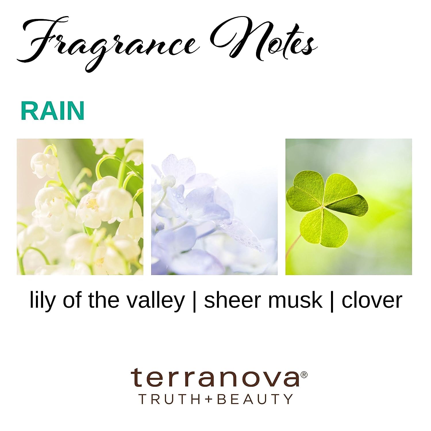 Etivel Rain Perfume Essence Oil – Alcohol Free, Vegan, Paraben & Phthalate Free, TSA Ready
