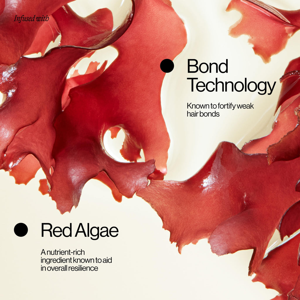 Eva NYC Ritual Repair Shampoo – Bond Technology for Stronger, Color-Safe Hair