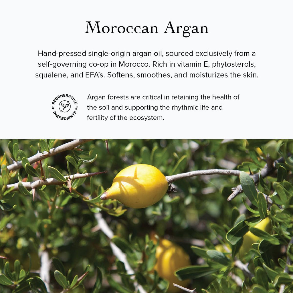 evanhealy Whipped Moroccan Argan Butter – Organic Shea, Argan Oil & Lavender for Dehydrated Skin