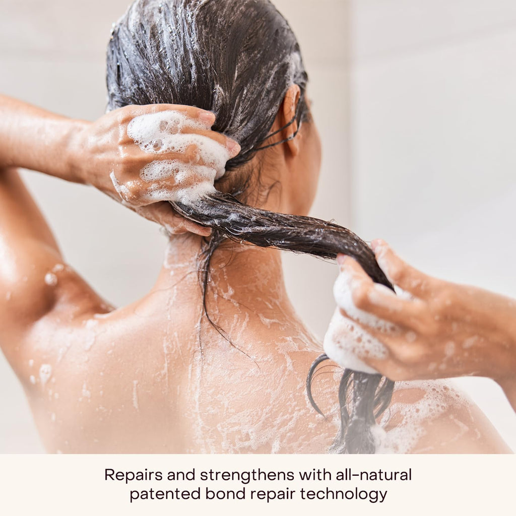 Everist Haircare Essentials Duo – Shampoo & Deep Conditioner for Sensitive Scalp