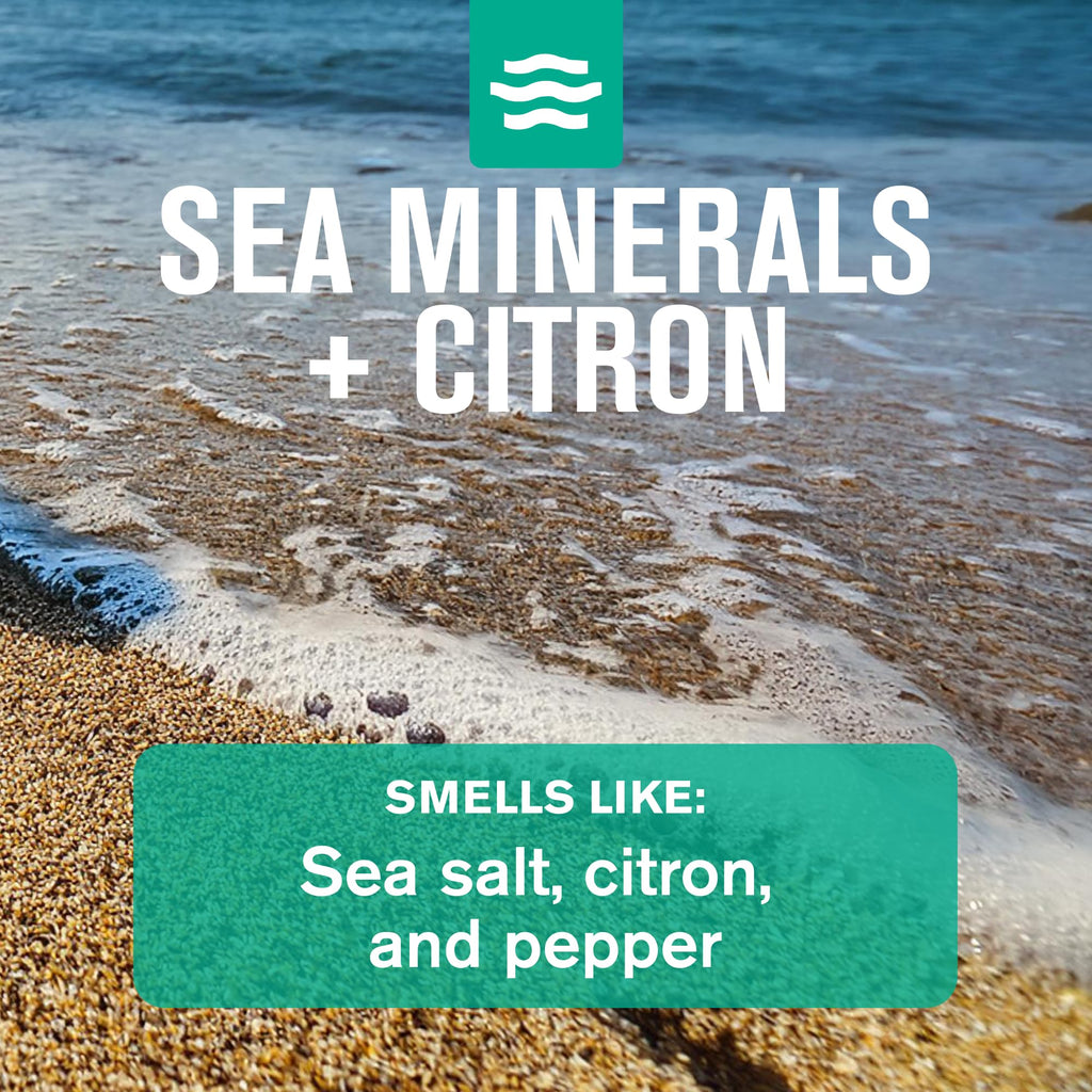 Every Man Jack Sea Minerals + Citron Gift Set – Hydrating Bath & Body Essentials