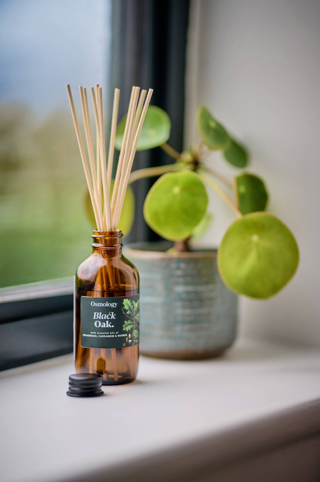 Black Oak Diffuser Refill + Free Reeds