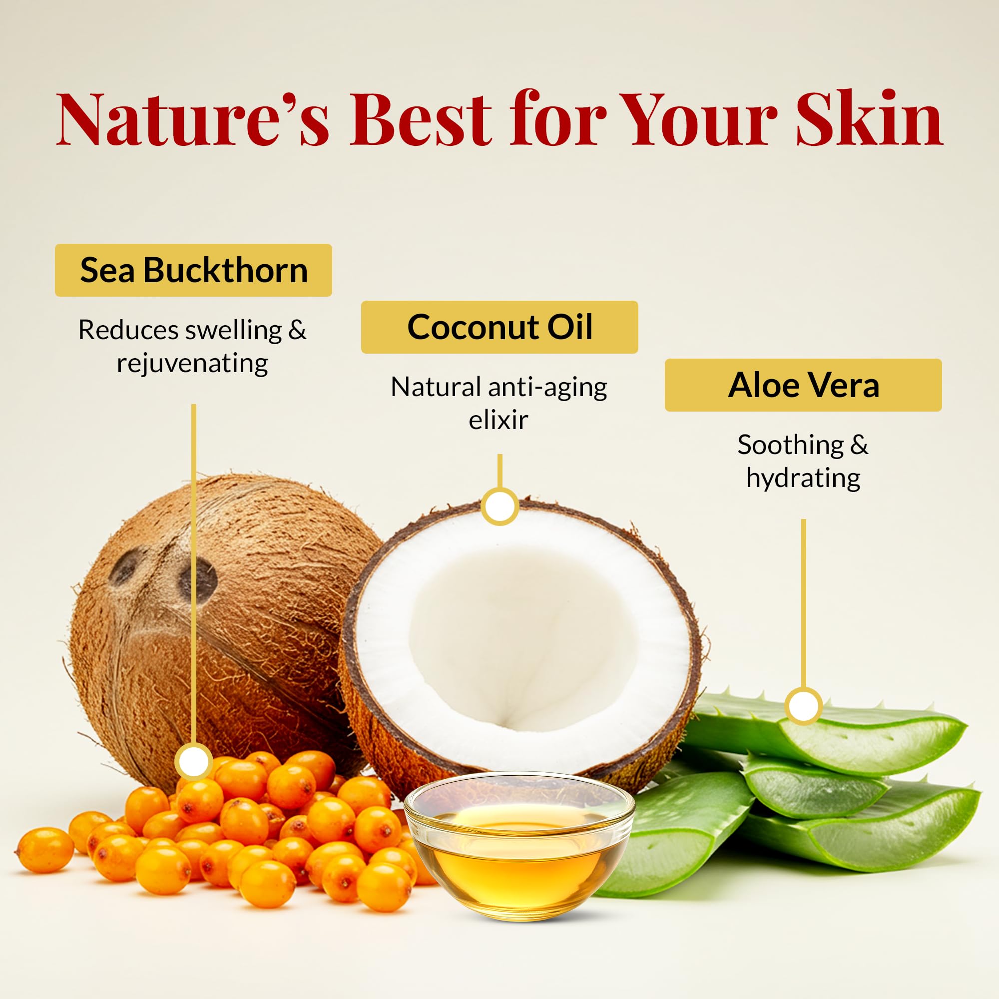 FACEDOCTOR Complexion Bar Soap | Gentle Acne & Rosacea Cleanser with Sea Buckthorn
