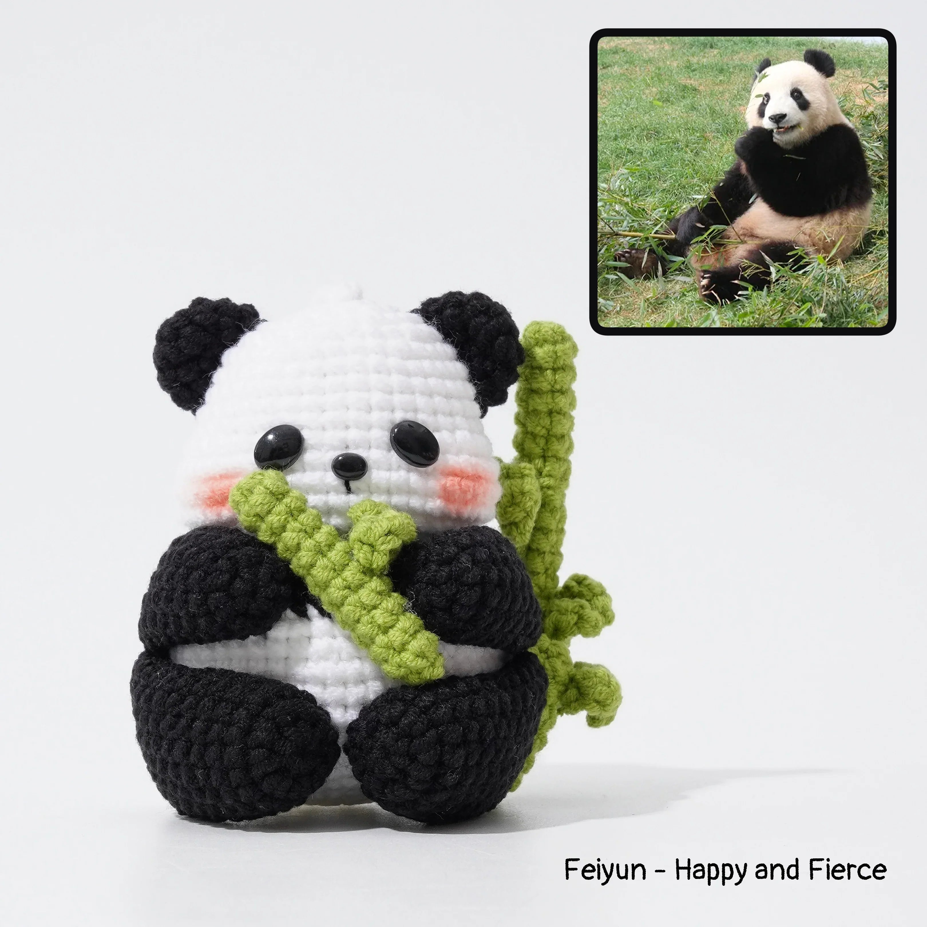Giant Panda Family