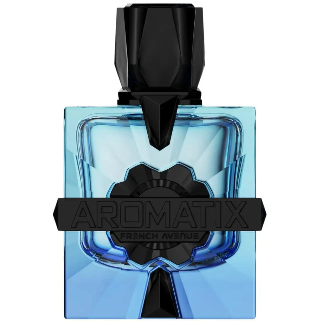 French Avenue Magnetiq Eau De Parfum – Woody Aromatic Unisex Scent, 3.4 fl oz
