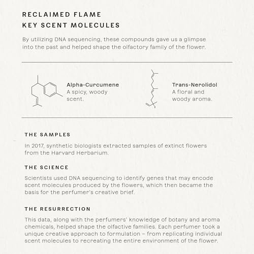 Future Society Reclaimed Flame Perfume – Rich Citrus Eau de Parfum with Bergamot, Grapefruit & Eucalyptus | Unisex 50ml