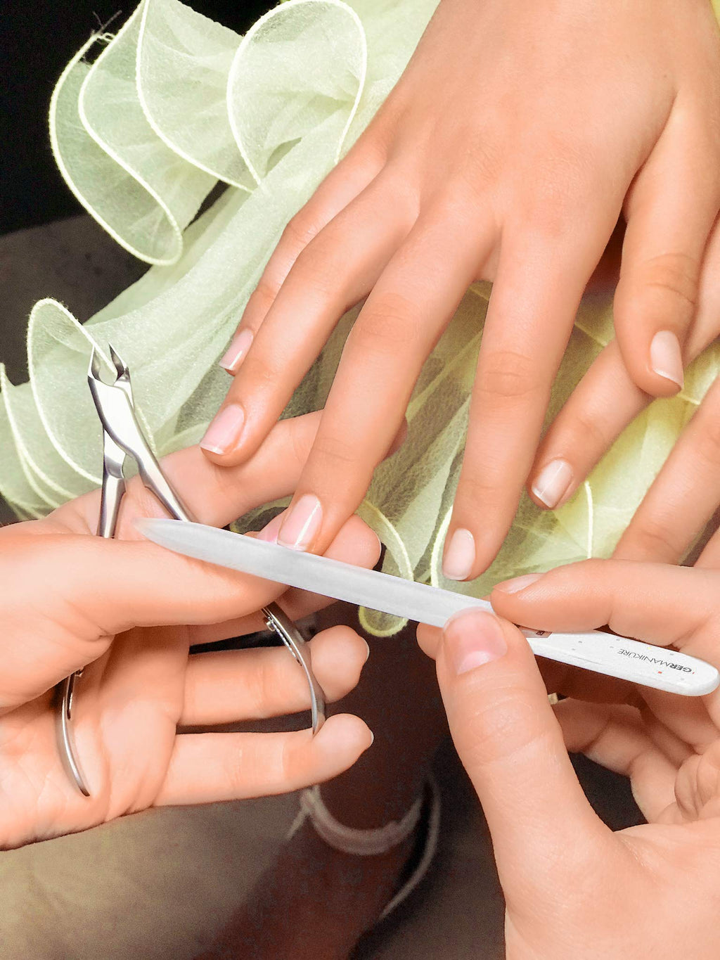 GERMANIKURE Nail Clipper & Glass Nail File Set – Solingen Germany | FINOX Stainless Steel