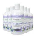 Ginger Lily Farms Botanicals Moisturizing Conditioner – Lavender Chamomile, 100% Vegan & Cruelty-Free, 12oz (Pack of 6)