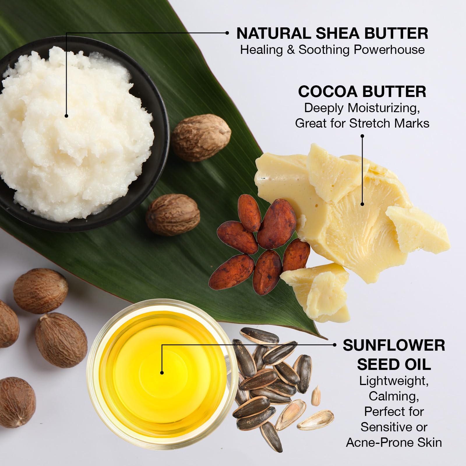 Ginger Lily Farms Shea Indulgence 24H Hydration Lotion – Island Tranquility, Vegan & Cruelty-Free, 1 Gal Refill
