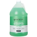 Ginger Lily Farms Club & Fitness Moisturizing Shampoo for All Hair Types – 100% Vegan & Cruelty-Free, Aloe Vera Scent, 1 Gallon Refill