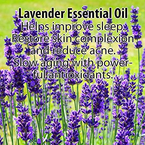 Glimmer Goddess Organic Lavender Night Cream – 24-Hour Hydration, Vegan, All Skin Types, 2 oz