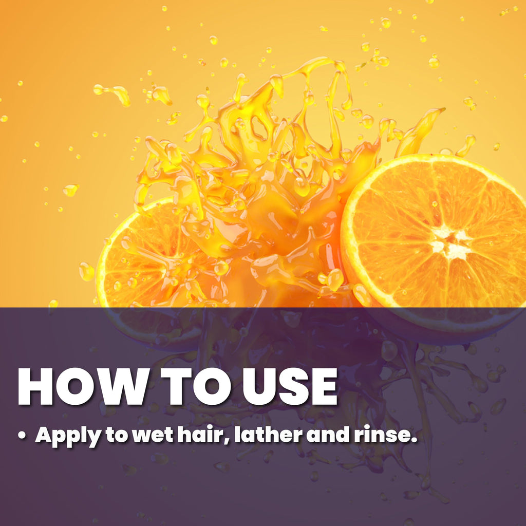 GREAT CLIPS Latitude Daily Hydrating Shampoo – Full, Healthy Hair for All Hair Types | 32oz