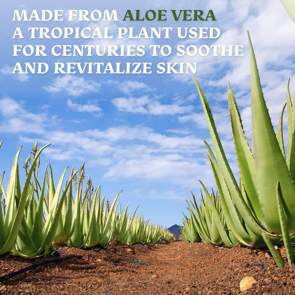 Green Leaf Naturals Amazing Aloe Vera Gel — 8oz, 100% Pure, Freshly Cut, Unscented