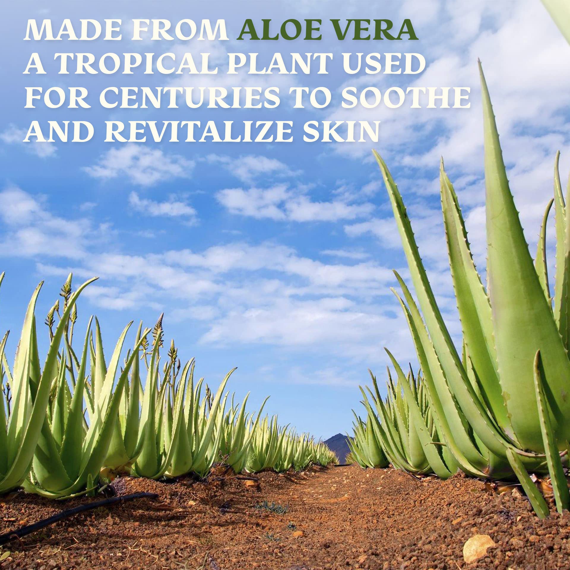 Green Leaf Naturals Amazing Aloe Vera Gel — 8oz, 100% Pure, Freshly Cut, Unscented