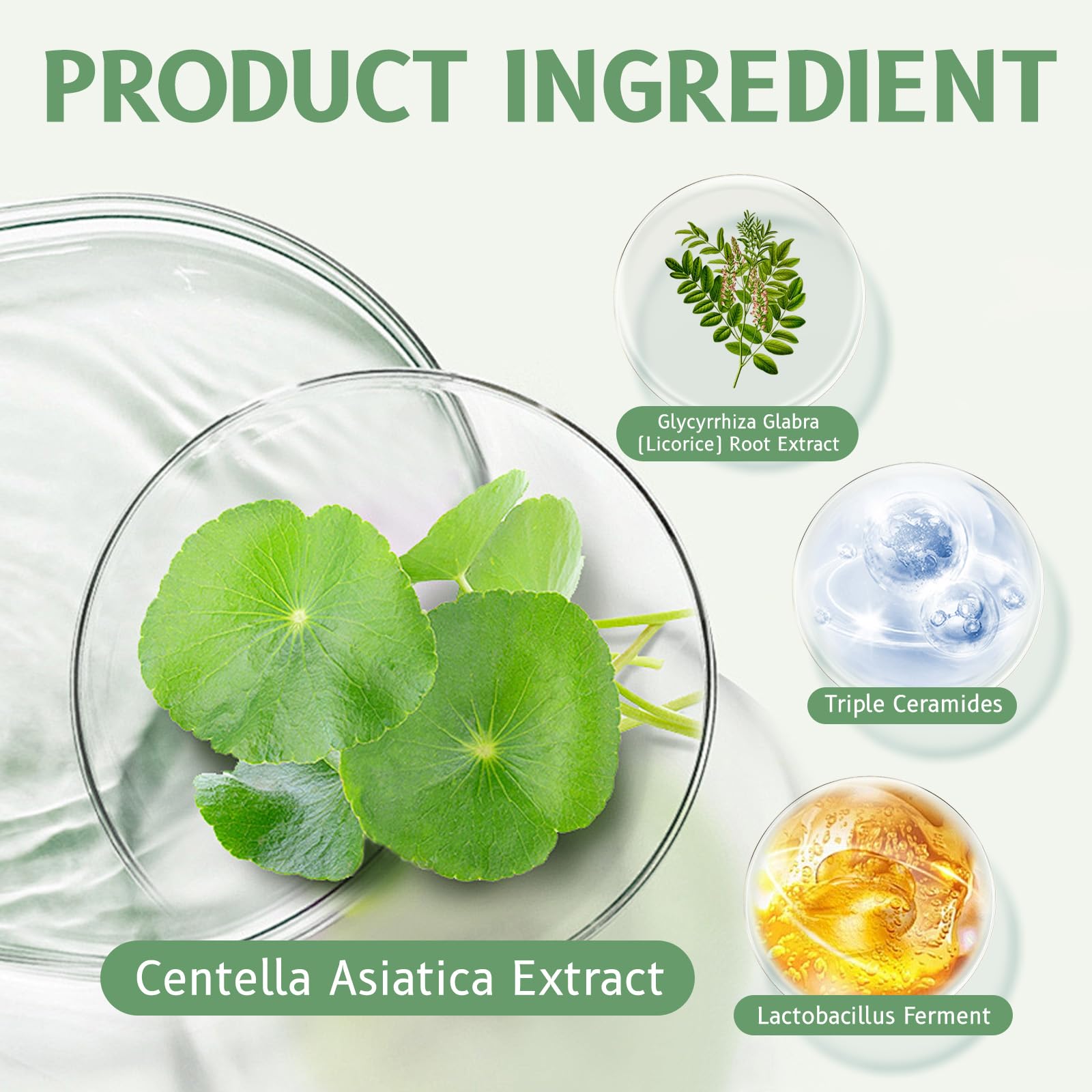 GROEI Centella Asiatica Intensive Hydration Cream - 85% Natural Ingredients | 50g