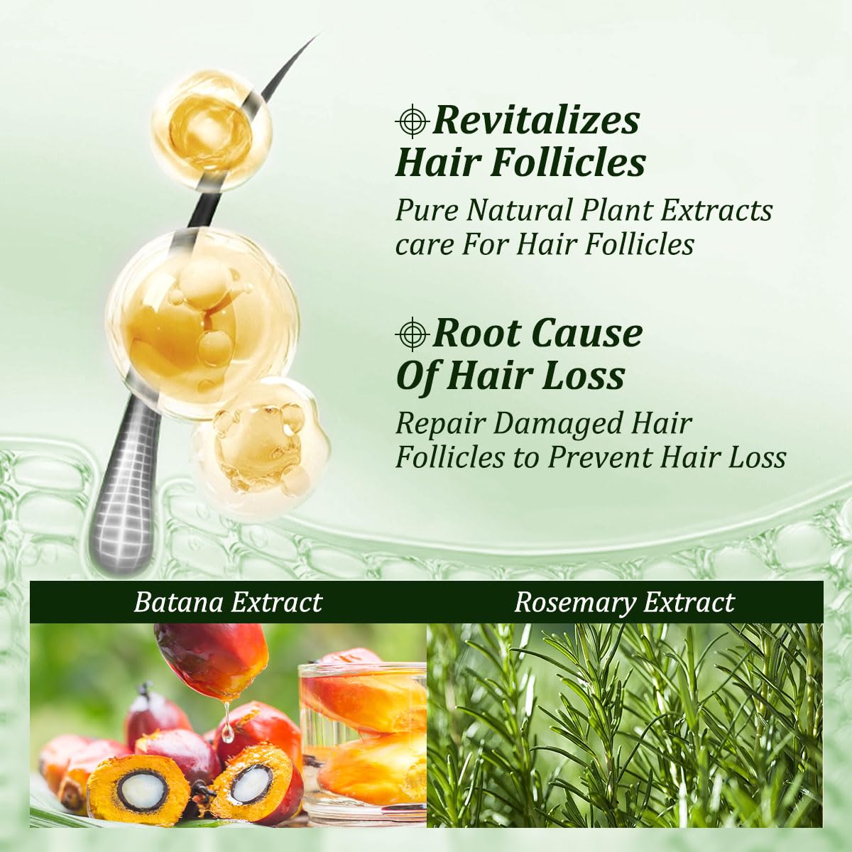 Gypsophila 2-Pack Batana Oil Shampoo with Rosemary Nourishing and Rejuvenating Hair Care for All