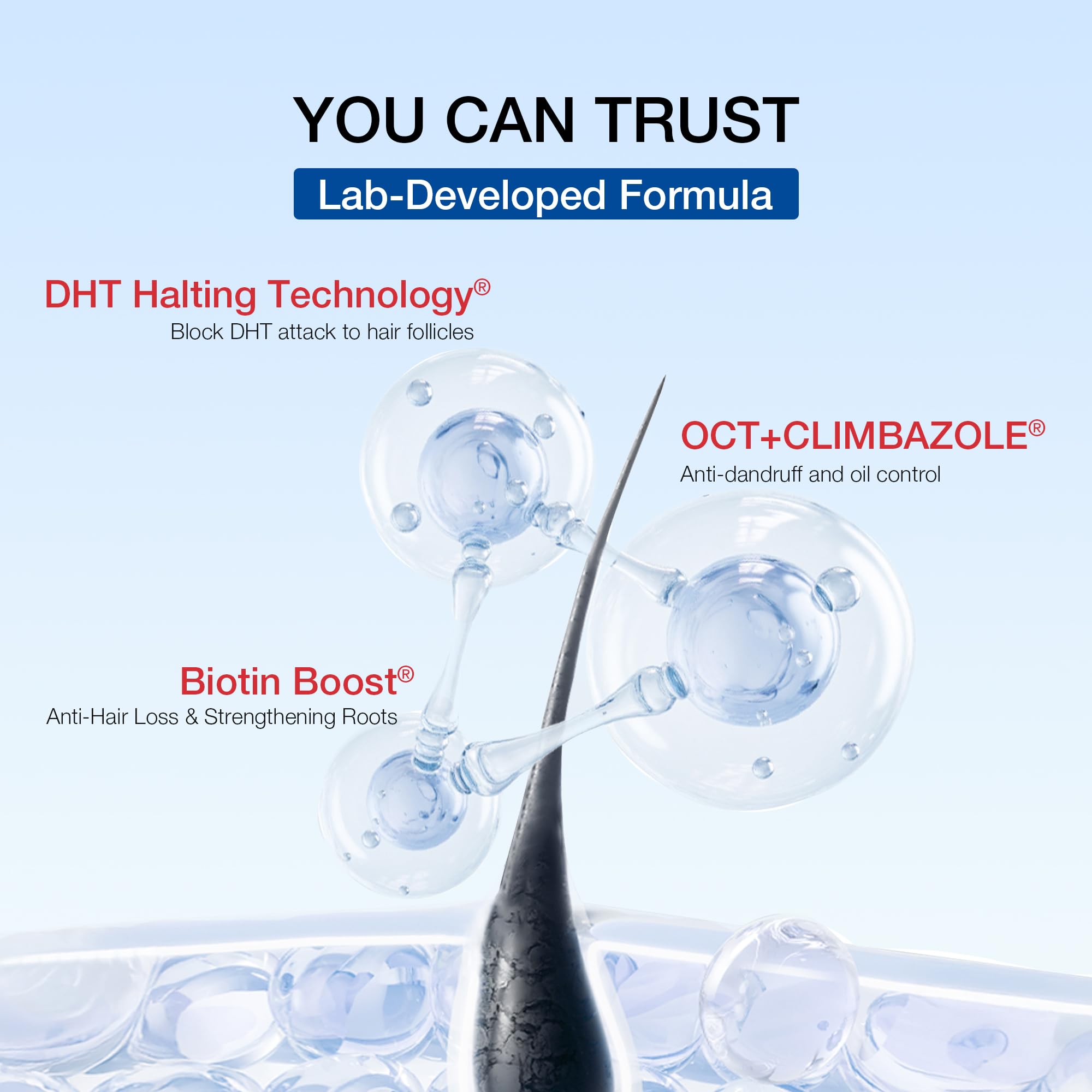 Hair Labs Professional Strength Hair Restore Shampoo for Men | DHT Blocker