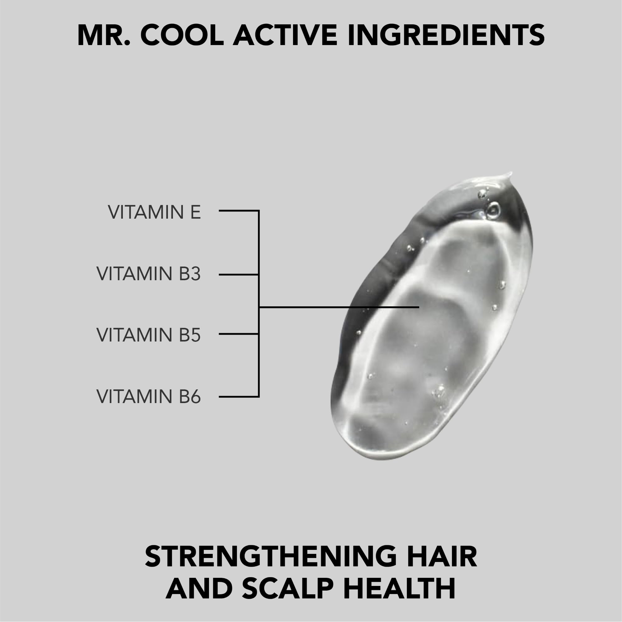 Hair Situation Mr. Cool Wet Look Gel — Strong Hold, High Shine, Alcohol-Free; Mr. Vibrant Volumizing Shampoo for Thinning Hair