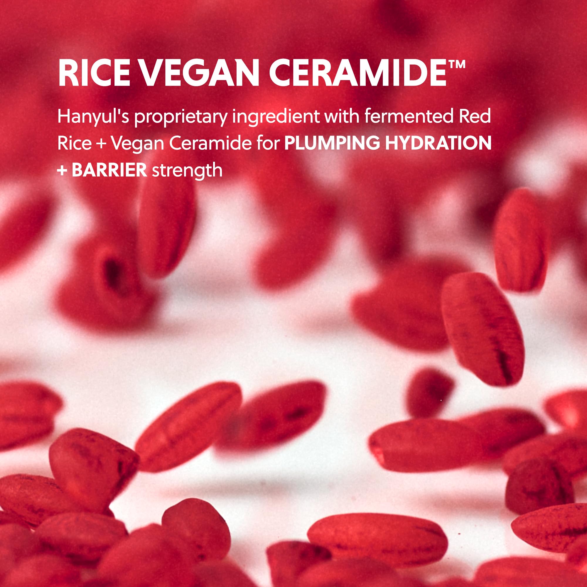 HANYUL Red Rice Hydrating Cream with Fermented Rice Extract | Vegan Ceramide Moisturizer for Deep Hydration & Radiant Skin