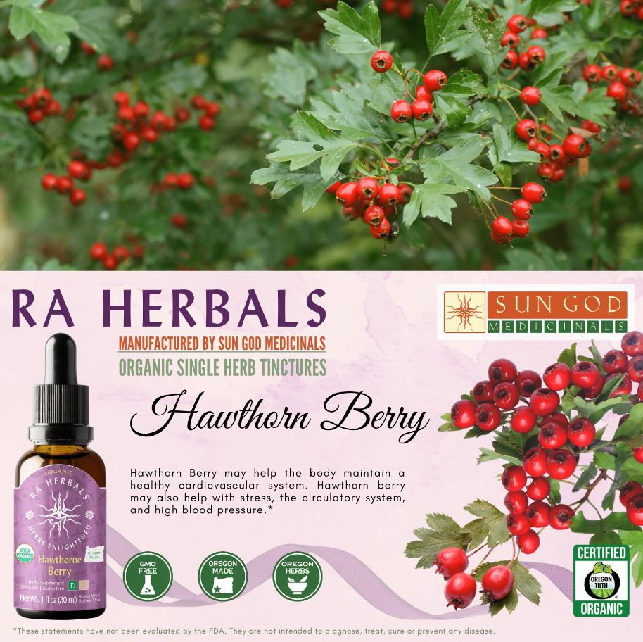 Organic Hawthorn Berry Tincture - CARDIOVASCULAR, HIGH BLOOD PRESSURE, CHOLESTOROL