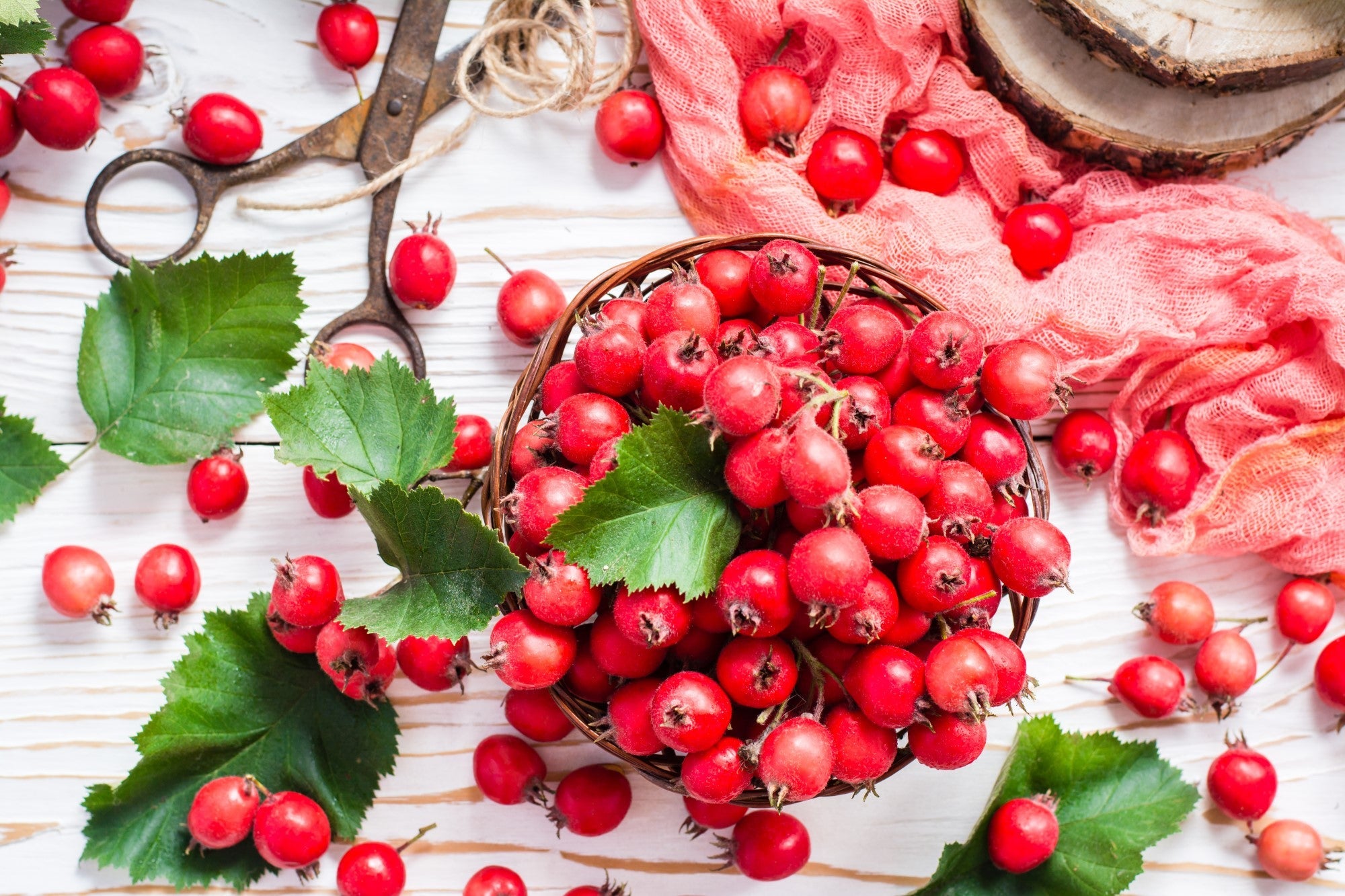 Organic Hawthorn Berry Tincture - CARDIOVASCULAR, HIGH BLOOD PRESSURE, CHOLESTOROL