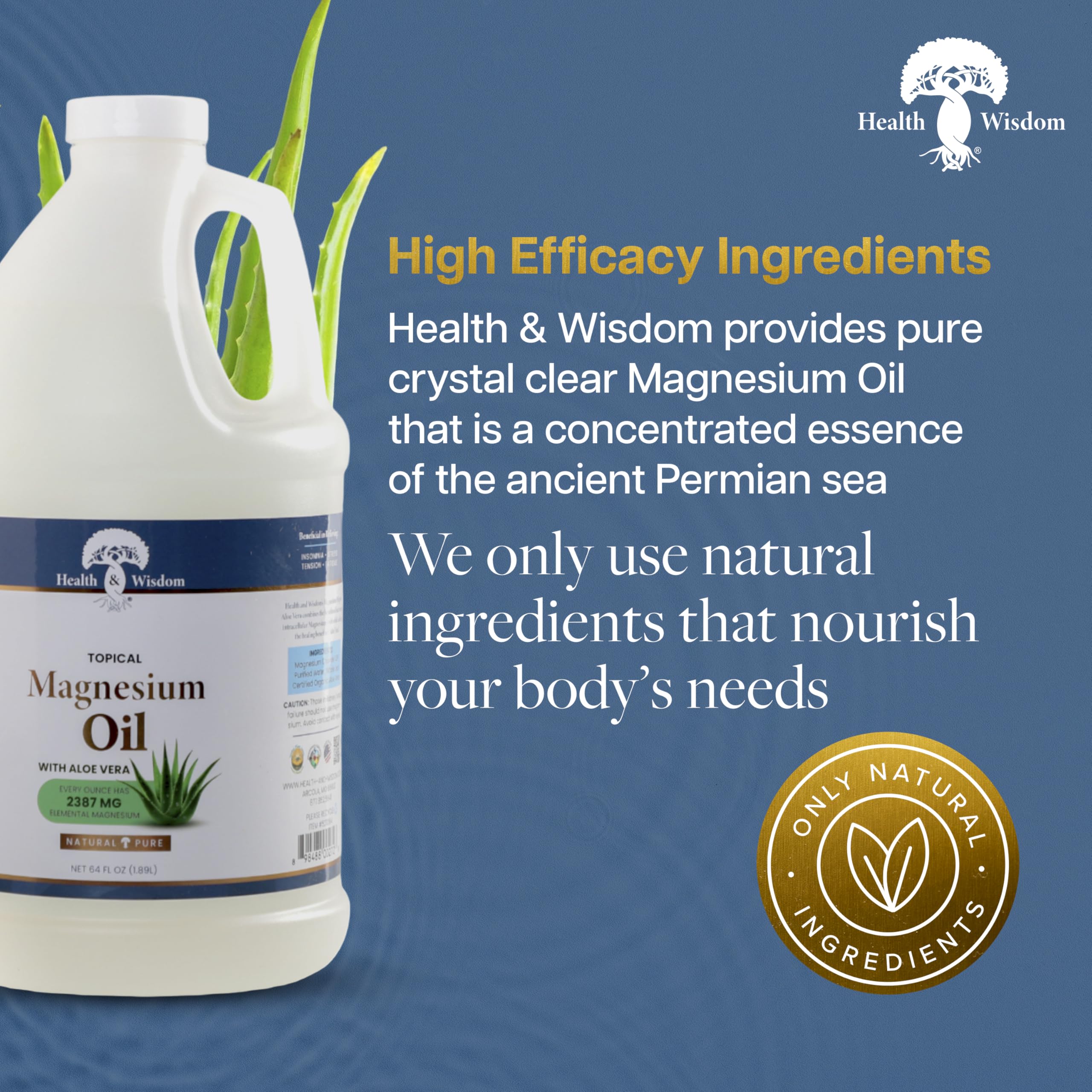 Health & Wisdom Pure Magnesium Oil with Aloe Vera – Topical Muscle & Joint Relief, 64 oz