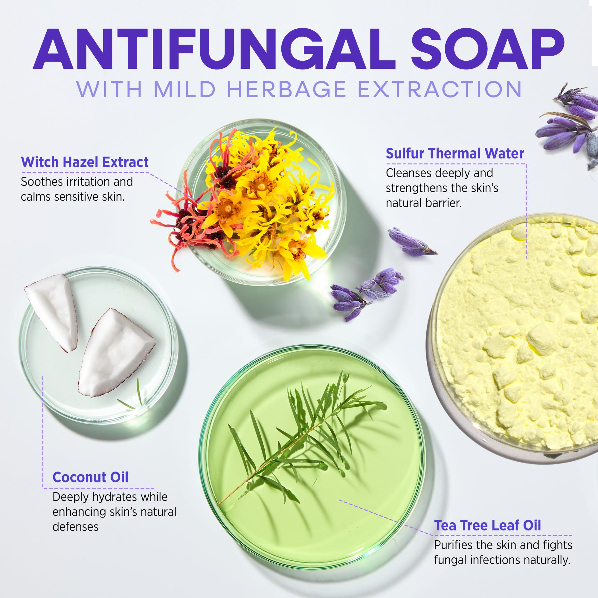 Hermon Antifungal Soap with Tea Tree Oil: Lavender, 4-Pack – Body & Face Wash for Ringworm, Jock Itch & Athlete’s Foot