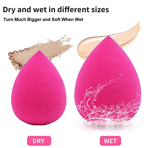 Hilareco Mushroom Head Air Cushion CC Cream Natural Foundation (02 Natural) – Sponge & Kabuki Brush