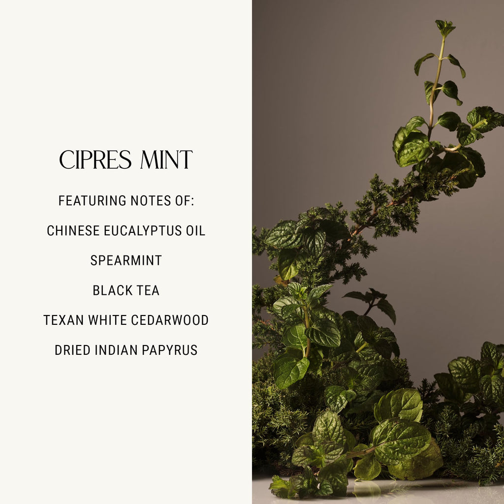 Homecourt Room Deodorant – Cipres Mint Natural Room Spray, Spearmint & Cedarwood, 3.4 oz