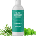 HONEYDEW Invigorating Tea Tree Mint Shampoo for Oily Hair – Rosemary Mint Clarifying Formula