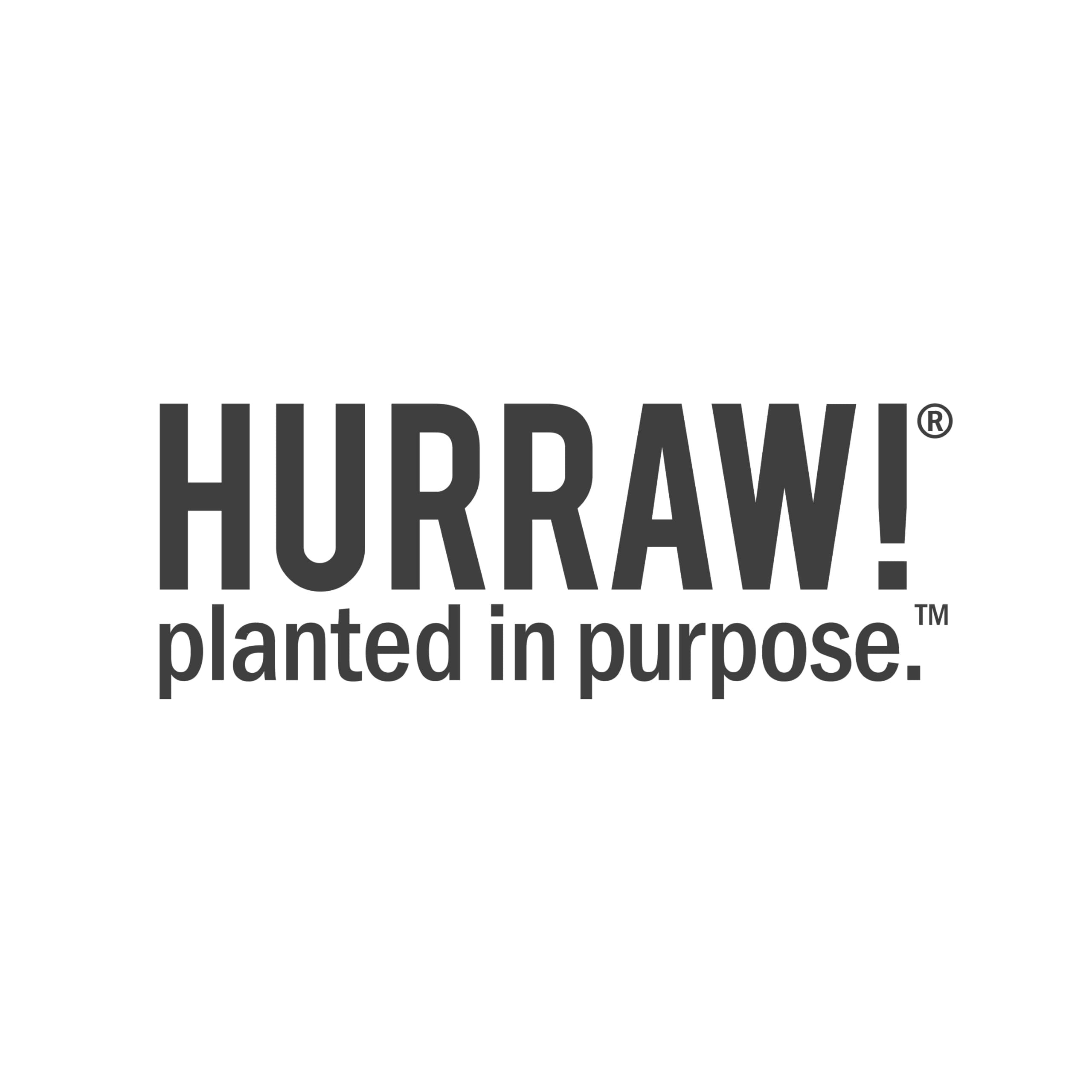 Hurraw! Moon Night Treatment Lip Balms – SPF15 Unscented, 3 Pack | Organic, Vegan, Cruelty Free, Made in USA