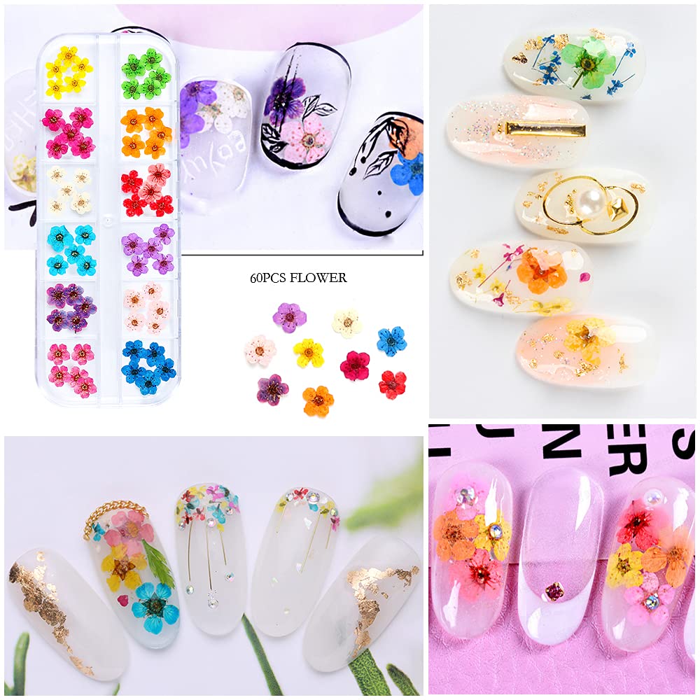 iFancer Flower Nail Charms – Natural Dried Mixed 60 pcs, 12 Colors for Nail Art & Resin DIY