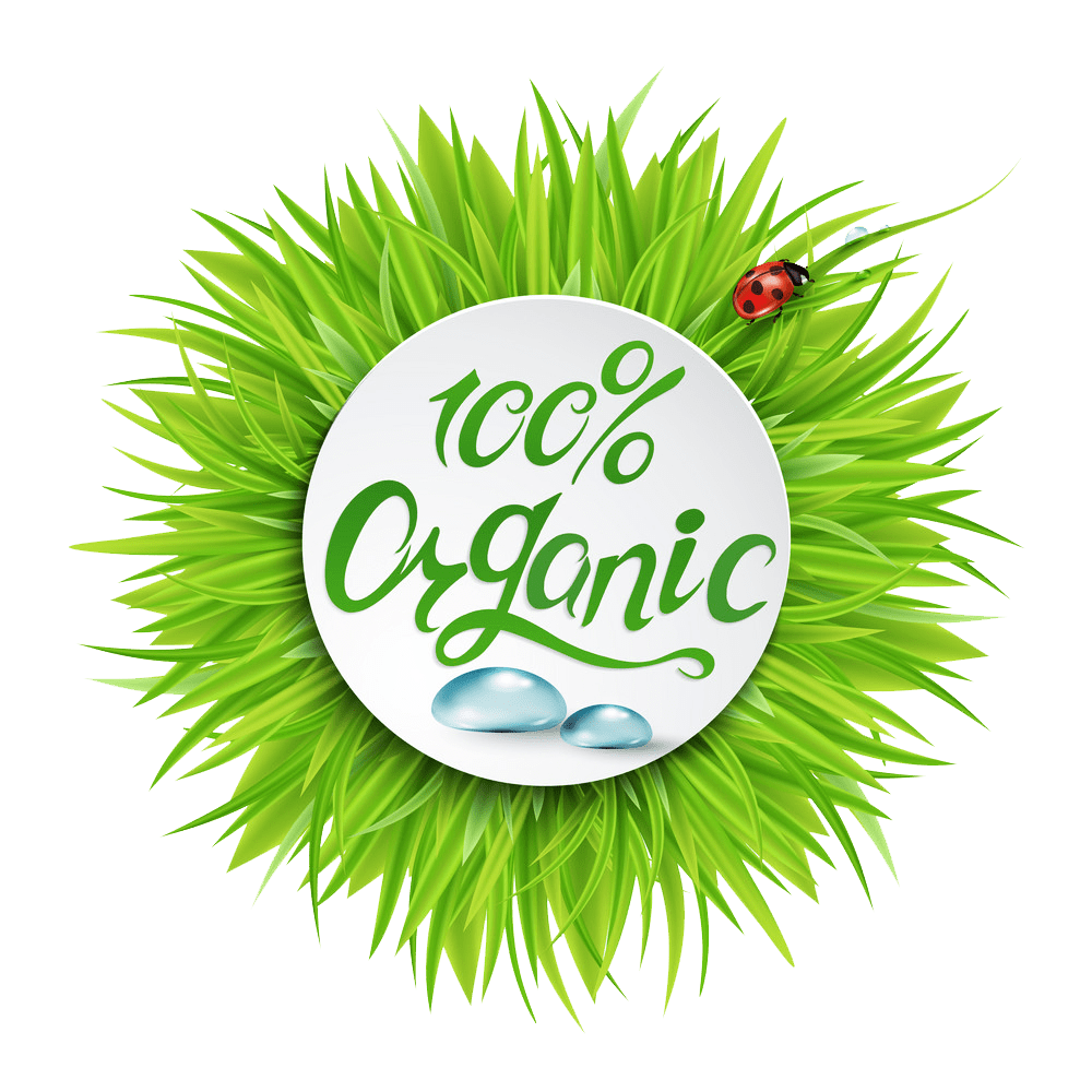 Queen Bee 100% Organic Body and Face Wash Gel