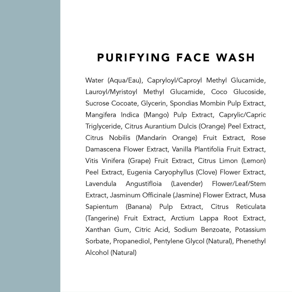 Indie Lee Purifying Face Wash – Daily Detox Foaming Cleanser for Radiant, Clear Skin (4 oz / 125 ml)