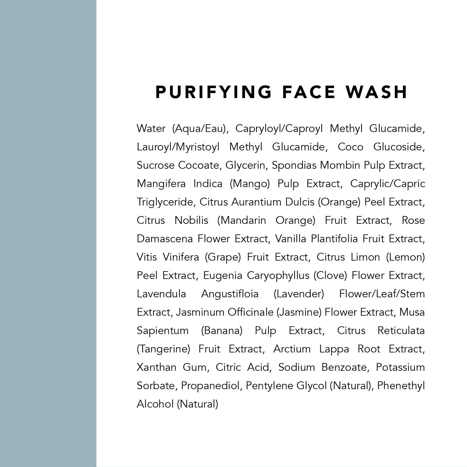 Indie Lee Purifying Face Wash – Daily Detox Foaming Cleanser for Radiant, Clear Skin (4 oz / 125 ml)