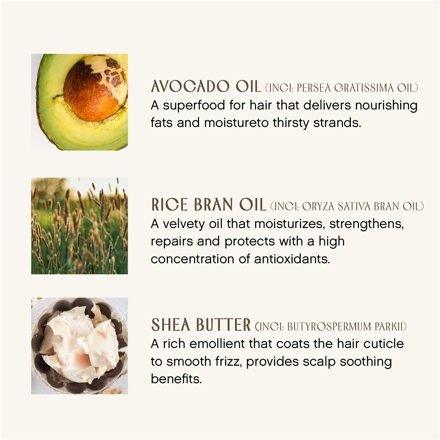 INNERSENSE Organic Beauty - Natural Color Radiance Daily Conditioner | Non-Toxic, Cruelty-Free Haircare (10 fl oz | 295 ml)