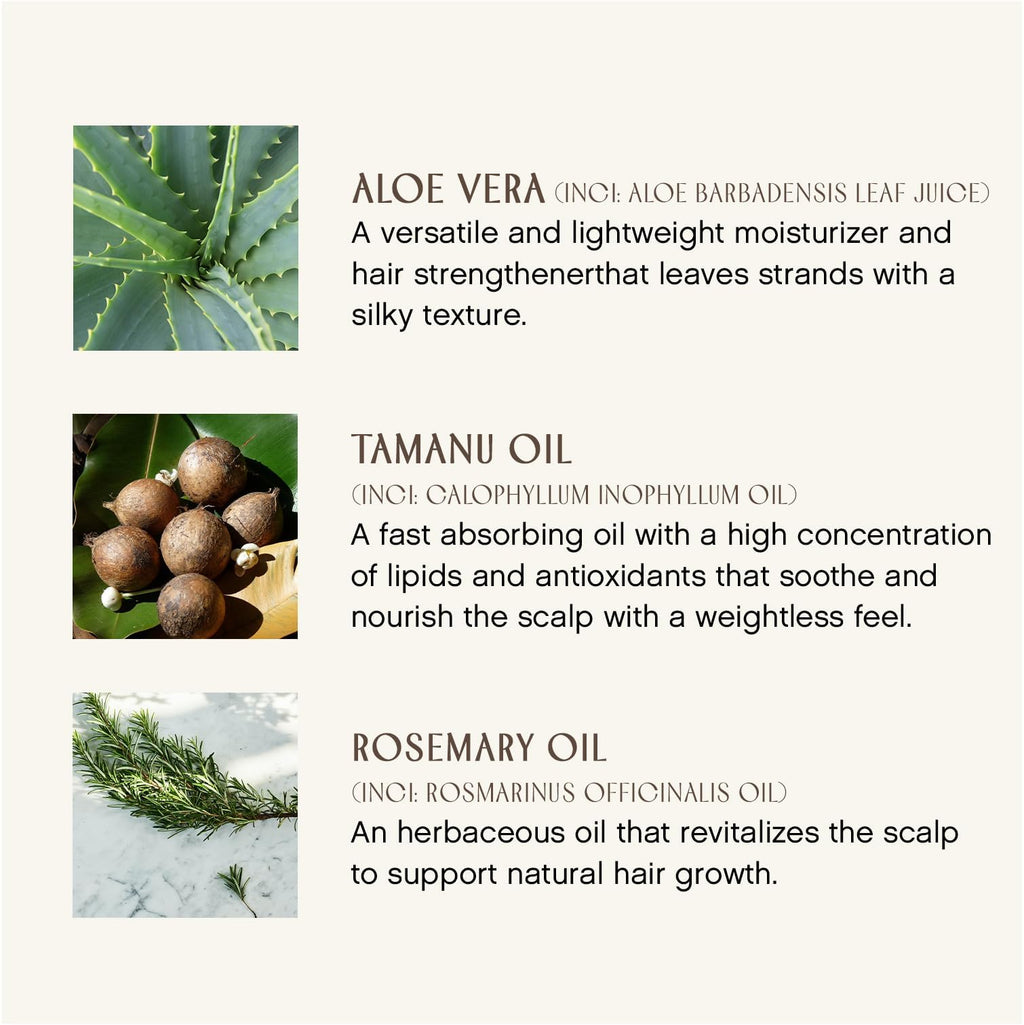 INNERSENSE Organic Beauty – Fragrance-Free Sweet Spirit Leave-In Conditioner | Detangling, Hydration, Smoothing | Non-Toxic, Cruelty-Free Haircare (2×2 oz)