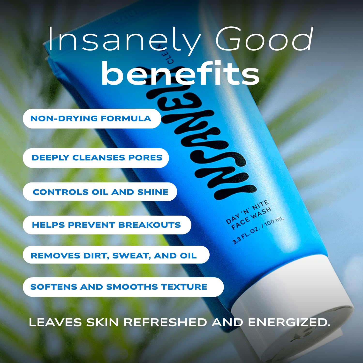 Insanely Clean Day N Nite Face Wash for Men – Hydrating Foaming Cleanser (3.3 oz) – Vegan & Dermatologist-Tested