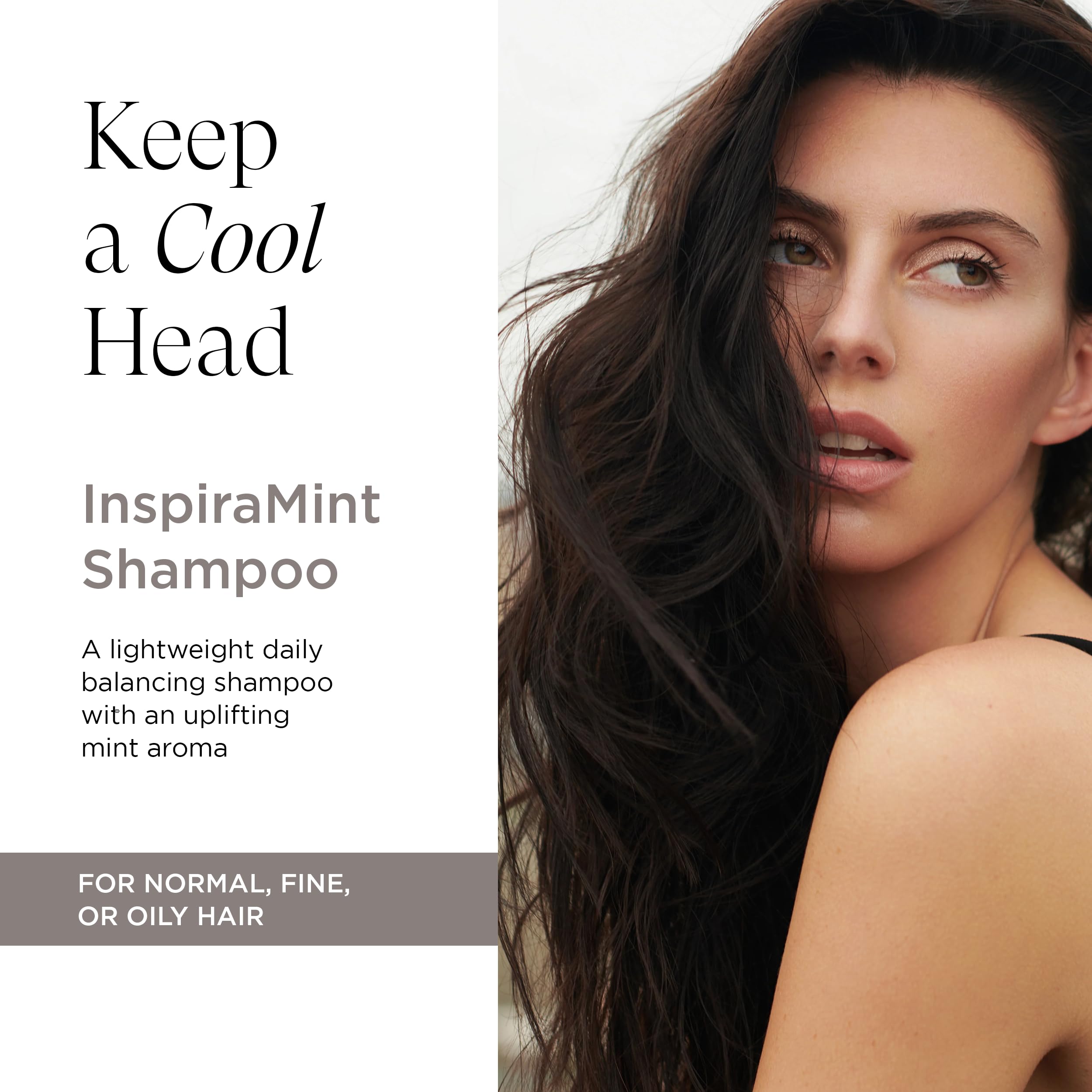 Intelligent Nutrients InspiraMint Shampoo – Invigorating Mint Daily Shampoo for Fine & Oily Hair