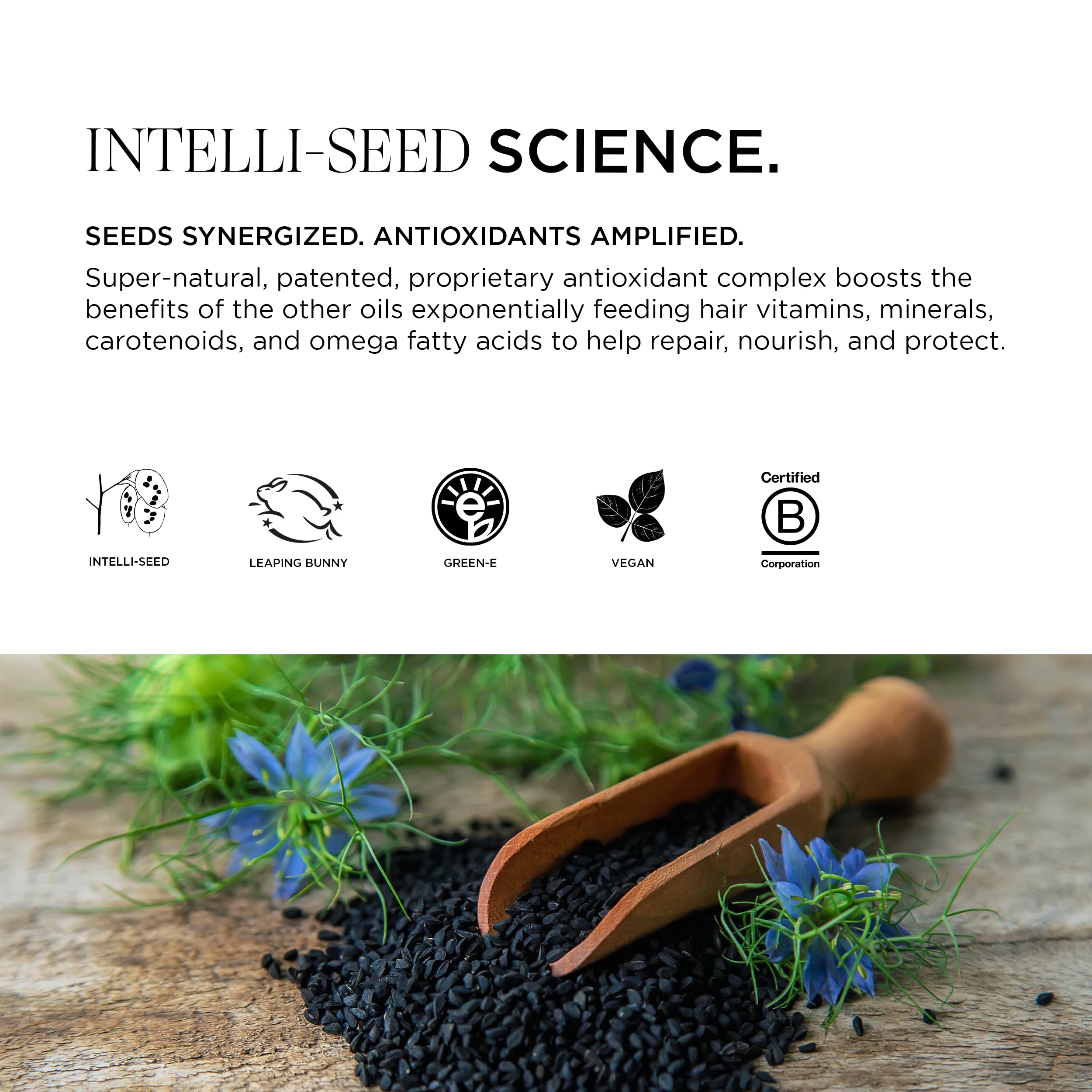 Intelligent Nutrients InspiraMint Shampoo – Invigorating Mint Daily Shampoo for Fine & Oily Hair