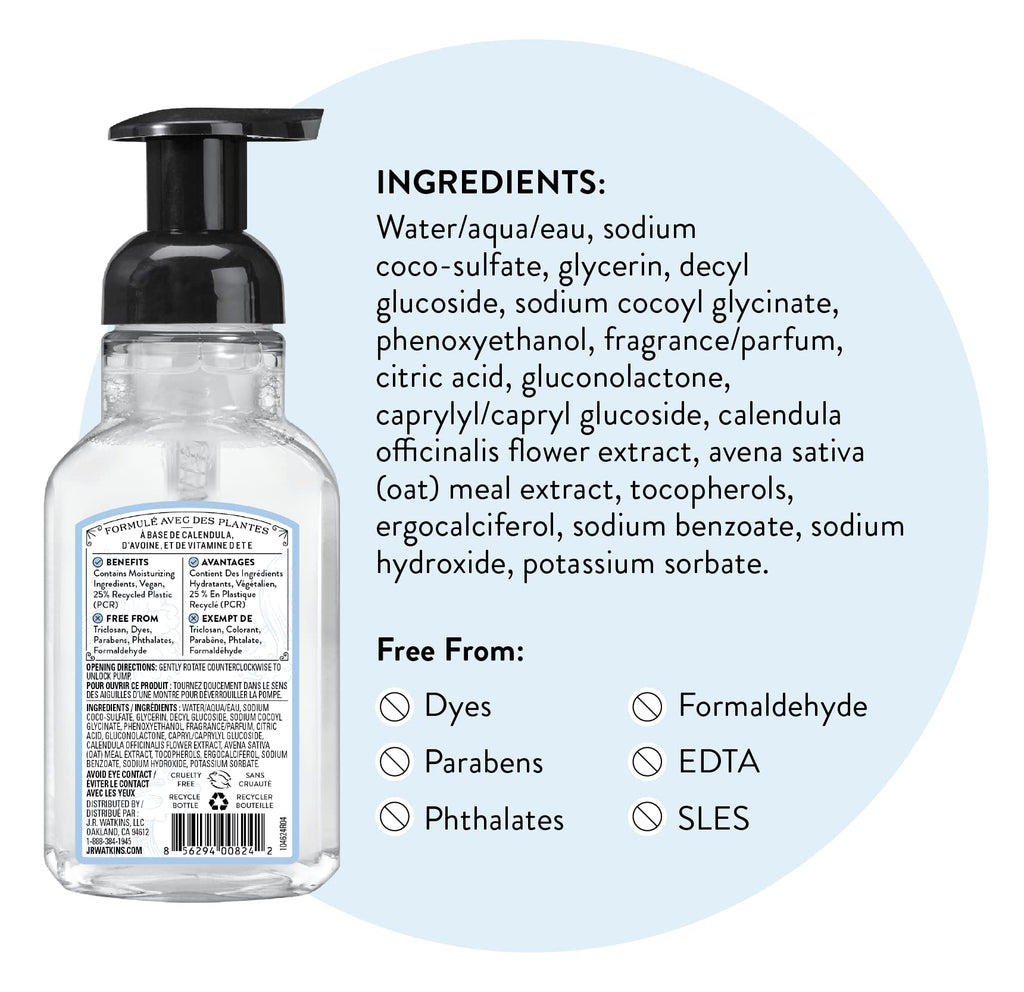 J.R. Watkins Foaming Hand Soap with Pump Dispenser – Moisturizing Foam Hand Wash, Alcohol-Free, Cruelty-Free, Brise Marine, 9 fl oz, 3 Pack