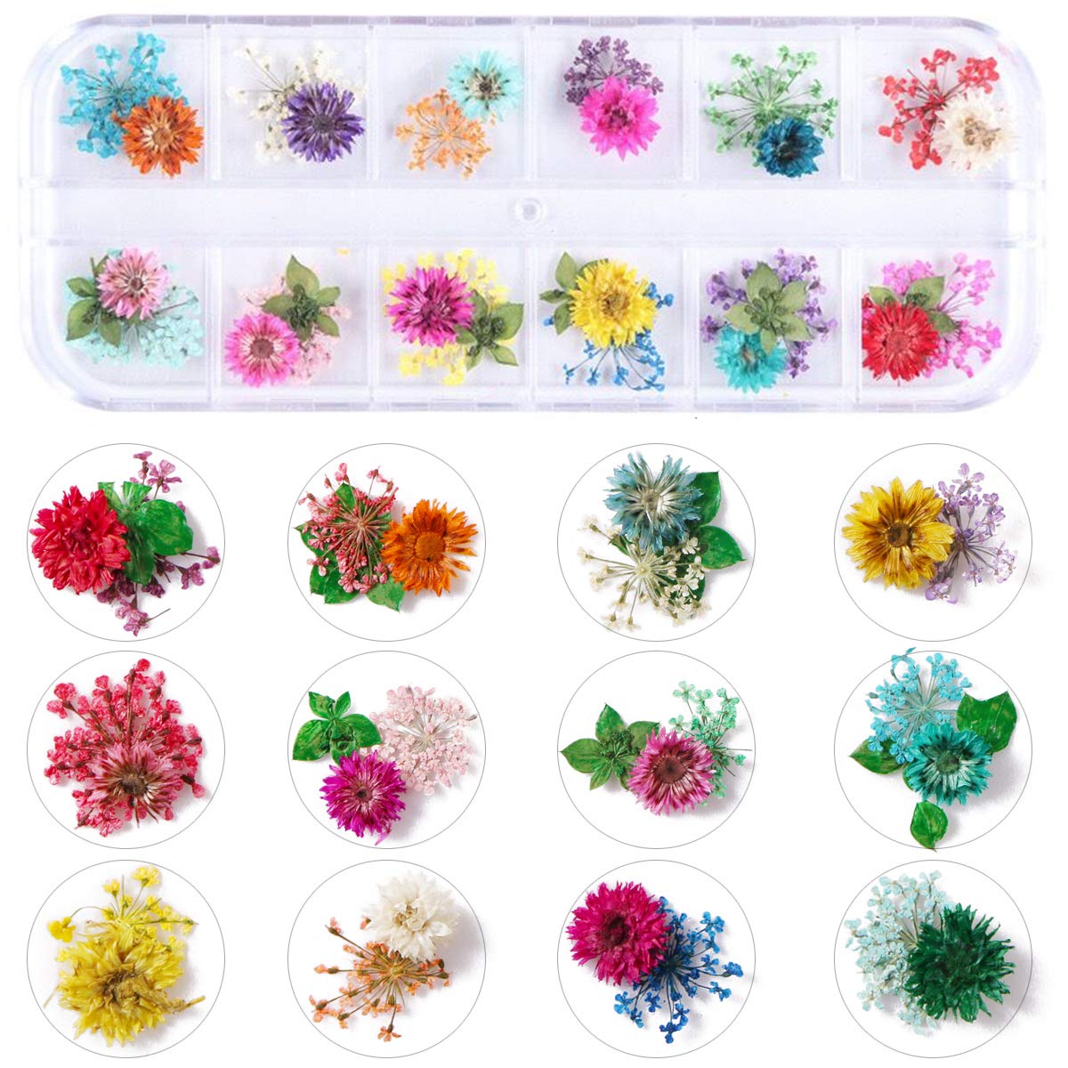KISSBUTY 2 Boxes Dried Flowers for Nail Art – 24 Colors Mini Real Flowers (Gypsophila & Daffodil)