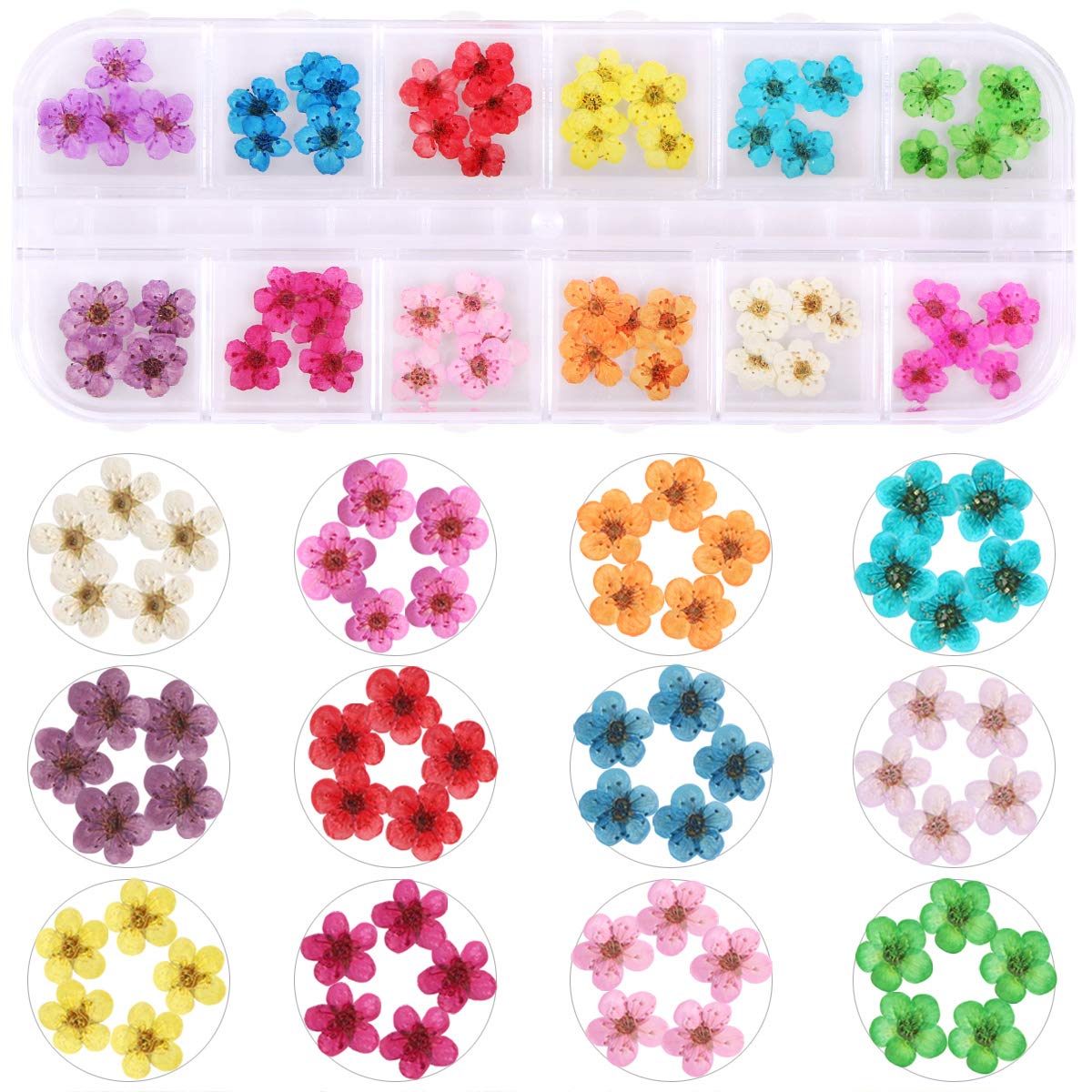 KISSBUTY 2 Boxes Dried Flowers for Nail Art – 24 Colors Mini Real Flowers (Gypsophila & Daffodil)
