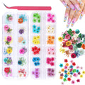 KISSBUTY 2 Boxes Dried Flowers for Nail Art – 24 Colors Mini Real Flowers (Gypsophila & Daffodil)