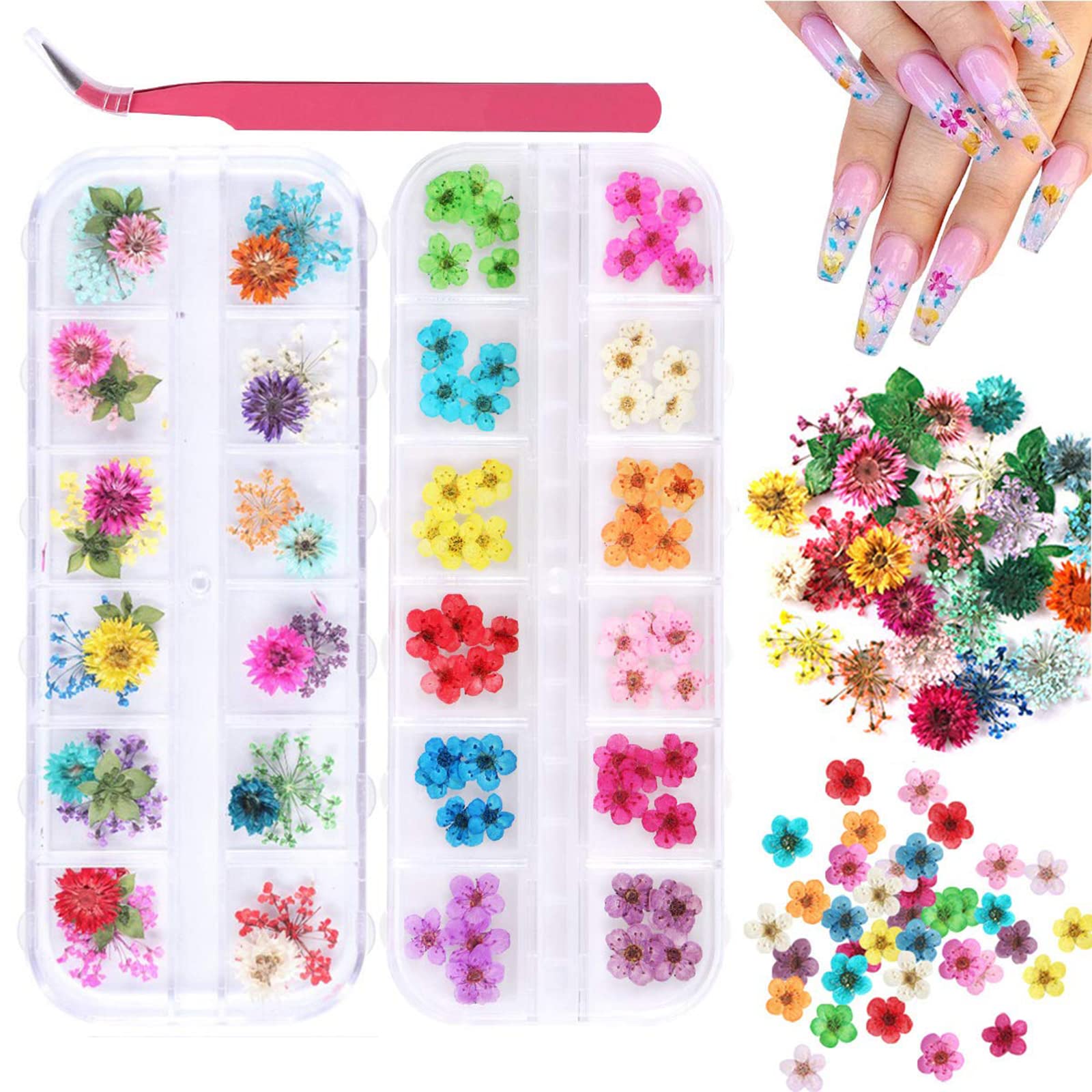 KISSBUTY 2 Boxes Dried Flowers for Nail Art – 24 Colors Mini Real Flowers (Gypsophila & Daffodil)