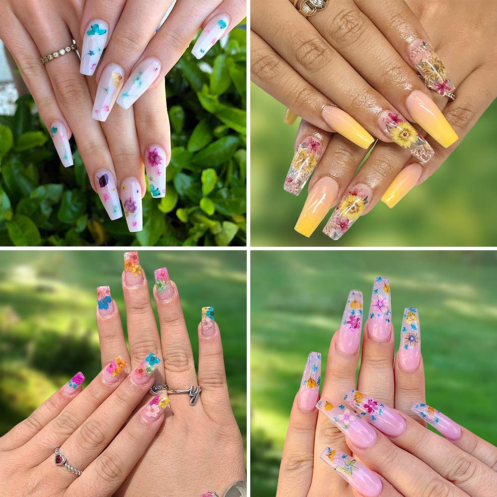KISSBUTY 2 Boxes Dried Flowers for Nail Art – 24 Colors Mini Real Flowers (Gypsophila & Daffodil)